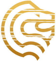1irstGold 1GOLD Logo