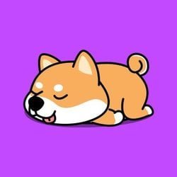 Baby Akita BKITA Logo