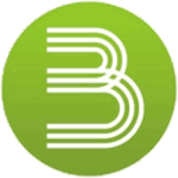 Bastonet BSN Logo
