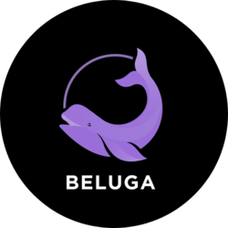 Beluga.fi BELUGA Logo