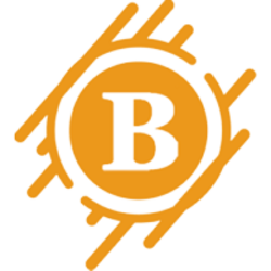 Big Coin BIG Logo