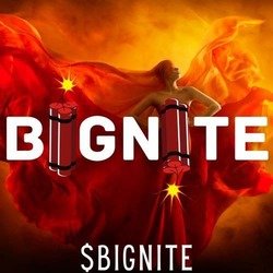 Bignite BIGNITE Logo