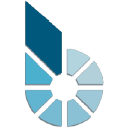 bitCNY BITCNY Logo