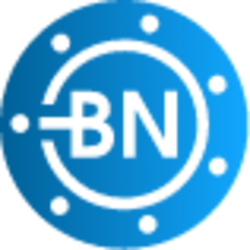 Bitnorm BN Logo