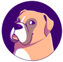 BoxerDOGE BOXERDOGE Logo