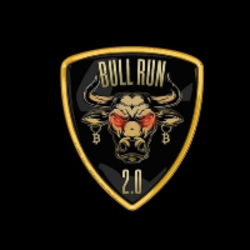 BullRun2.0 BR20 Logo