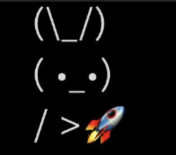 BunnyRocket BUNNYROCKET Logo