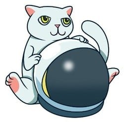 Cat Token CAT Logo