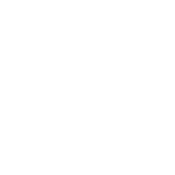 Degem DGM Logo