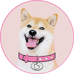 DogeGF DOGEGF Logo