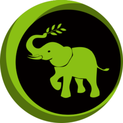 Egoras Rights EGR Logo