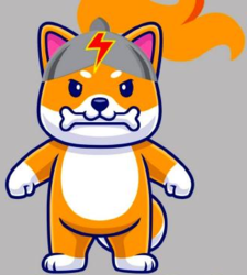 First Doge Finance FDOGE Logo