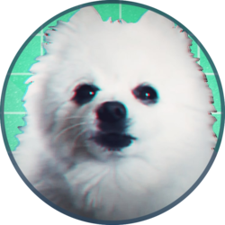 Gabecoin GABECOIN Logo
