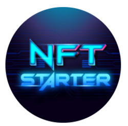 NFT Starter NST Logo