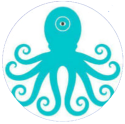 OctaPay OCTA Logo
