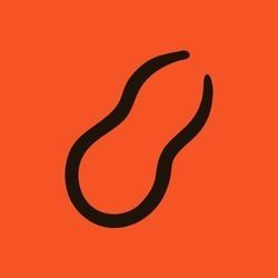 Peanut NUX Logo