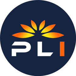 Plugin PLI Logo
