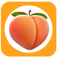 PornRocket PORNROCKET Logo