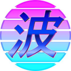 SafeNami SAFENAMI Logo