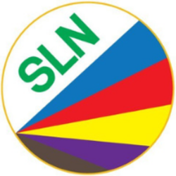 Salanests SLNT Logo