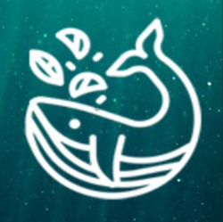 SendWhale SENDWHALE Logo