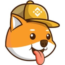 ShibaRocket SHIBAROCKET Logo