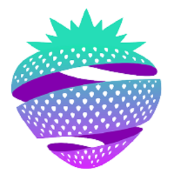 SolBerry SOLBERRY Logo