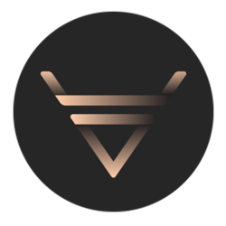 Veles VLS Logo