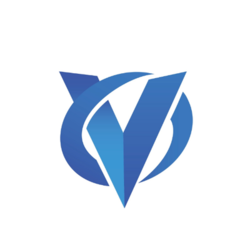Virtual Goods Token VGO Logo