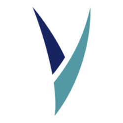 Vsync VSX Logo