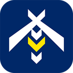 WanSwap WASP Logo