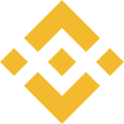 Wrapped BNB WBNB Logo
