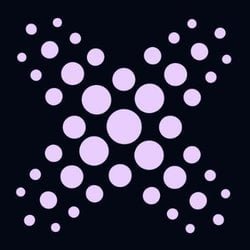 XCredit XFYI Logo